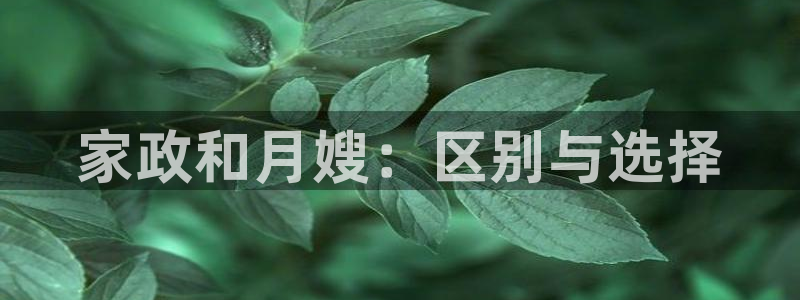 杏悦平台代理注册流程