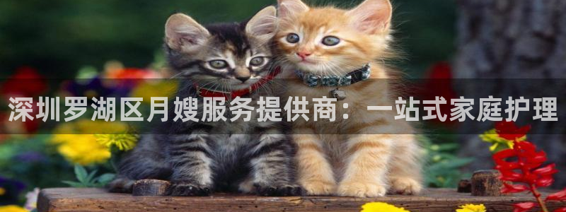 杏悦官方平台是正品吗