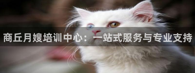 杏悦平台登录地址