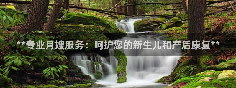 杏悦官网登录入口网址是什么