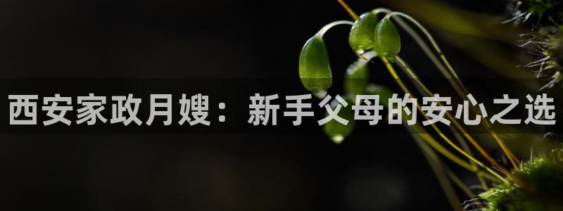 杏悦官网注册信息是什么