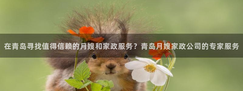 杏悦平台招商电话号码