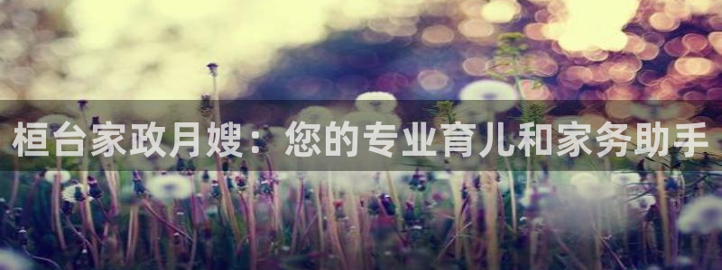 杏悦娱乐注册平台官网