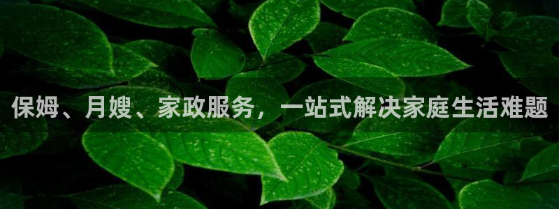 杏悦平台登录地址是什么