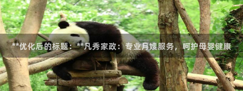 杏悦平台代理注册