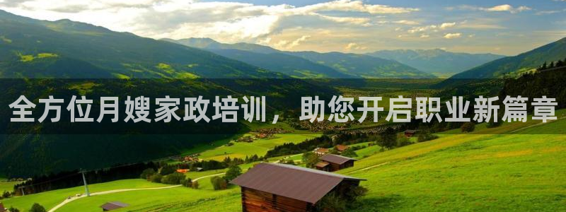 杏悦平台注册流程