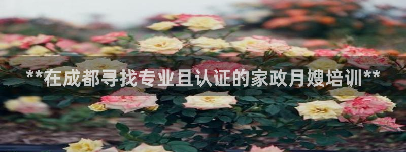 杏悦官网登录入口网址