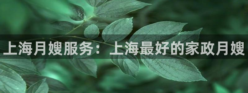 杏悦平台注册网址