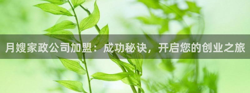 杏悦官网注册信息在哪里查看