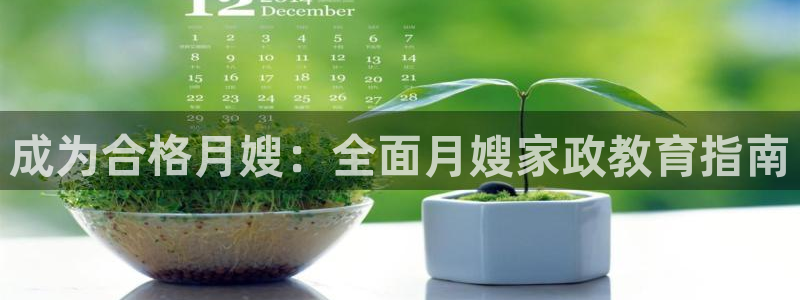 杏悦平台登录地址是什么