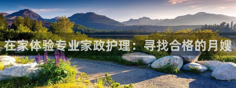 杏悦官网注册信息在哪里看