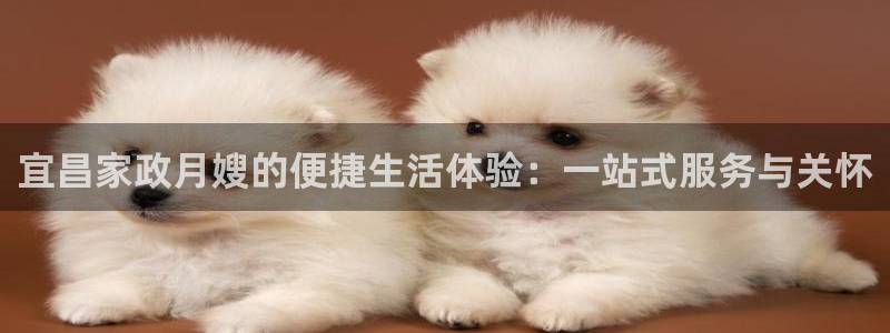 杏悦登录网址是什么