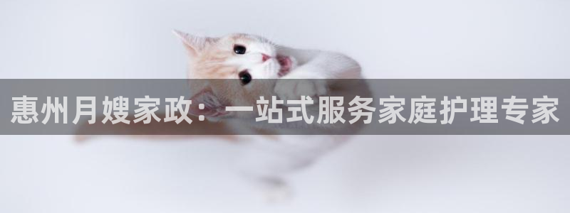 杏悦平台登录网址是什么