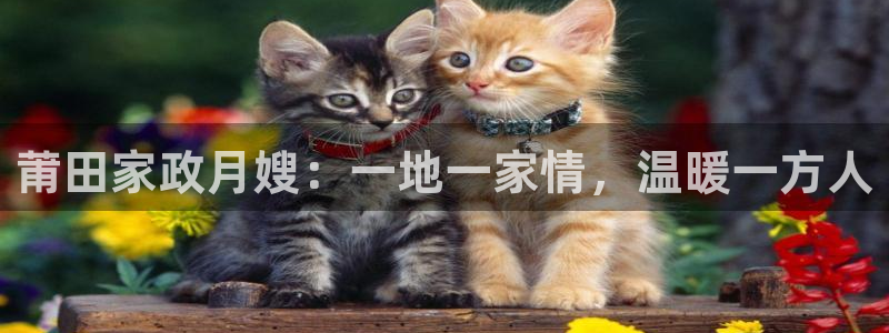 杏悦登录网址是什么