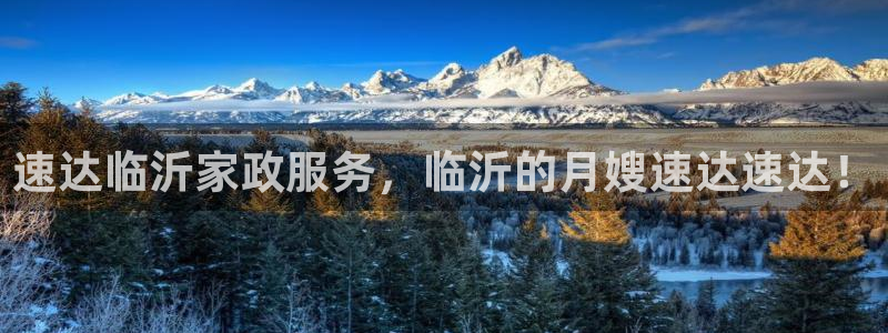 杏悦平台可靠吗可信吗安全吗