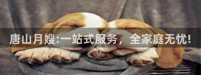 杏悦官方平台官网下载