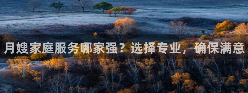 杏悦平台代理注册多少钱