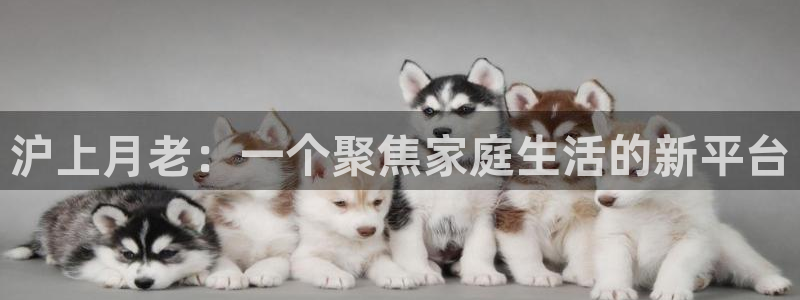 杏悦平台代理怎么赚钱