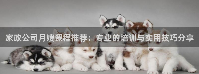 杏悦官方平台官网首页