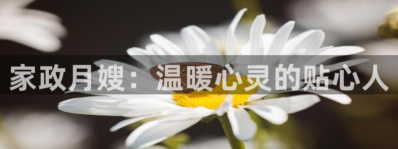 杏悦平台代理注册多少钱