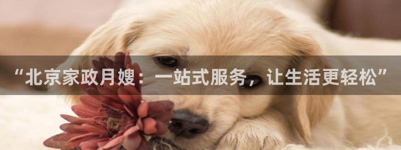 杏悦娱乐注册平台