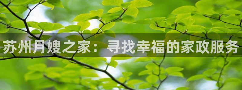 杏悦平台注册流程