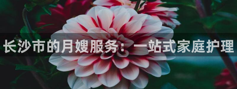 杏悦平台注册地址在哪里