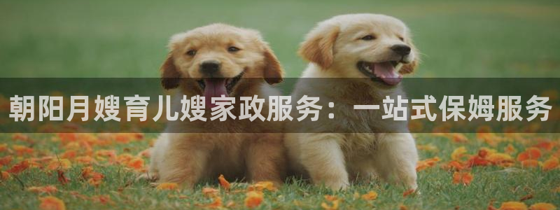 杏悦平台登录网址