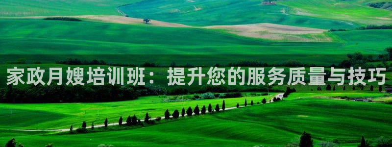 杏悦平台代理注册流程