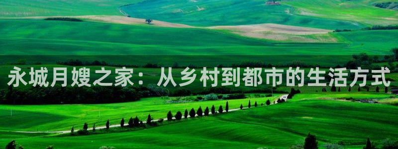 杏悦官网注册信息查询