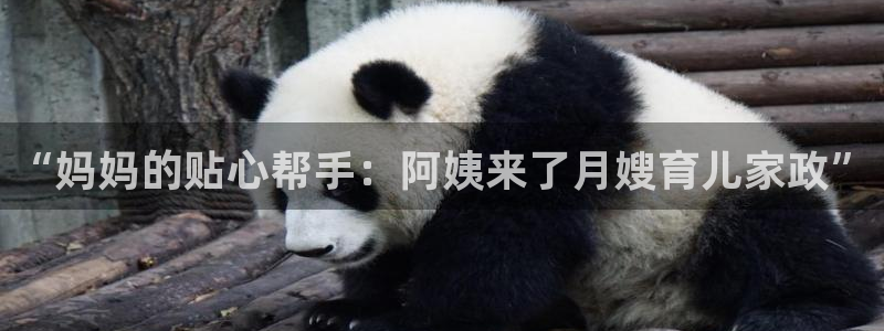 杏悦官网登录入口网址是多少