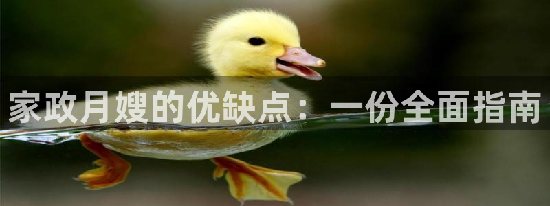 杏悦登录网址是什么