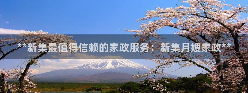 杏悦官网注册信息在哪里查看