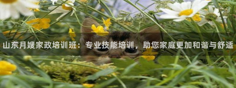 杏悦官网注册信息查询