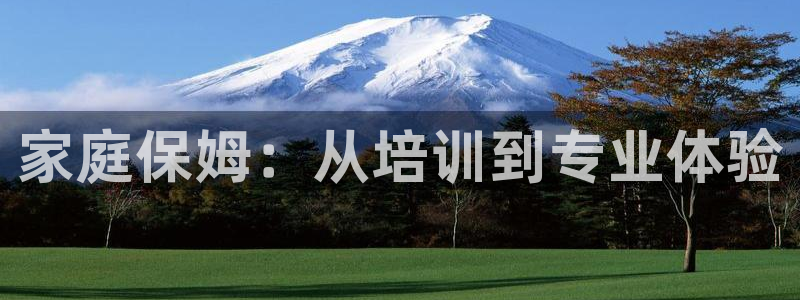 杏悦平台登录入口官网