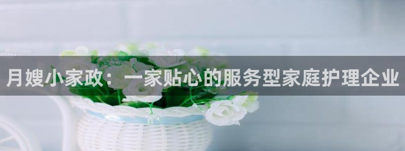 杏悦平台代理怎么做的