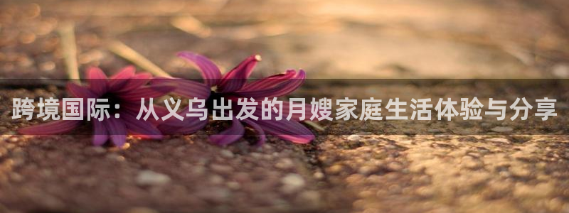 杏悦平台代理怎么赚钱的